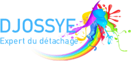 Logo DJOSSYE