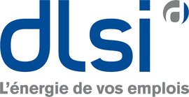 Logo Groupe DLSI