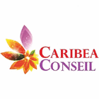 CARIBEA CONSEIL