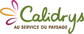 Ainter Services / Calidrys