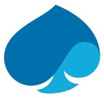 CAPGEMINI ENGINEERING