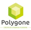 Logo Polygone RH