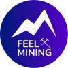 Logo FEEL MINING