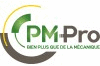 Logo PM-Pro