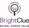 Logo BrightClue