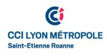 Logo CCI Lyon Métropole