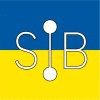 Logo SIB [numérique, santé et secteur public]