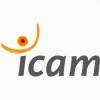 Icam - Institut Catholique d'Arts et Mtiers