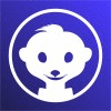 Mr Suricate