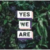 YES WE ARE