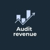 Audit revenue