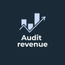 Audit revenue