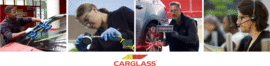 Carglass