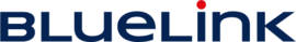 BlueLink International