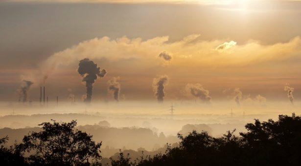 L’IA générative, la catastrophe environnementale que personne ne veut voir