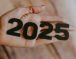 Tendances RH 2025 : L’année où l’IA va devenir votre nouvelle collègue ?