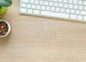 Sobriété numérique : 5 actions pour réduire son empreinte carbone sur le Web